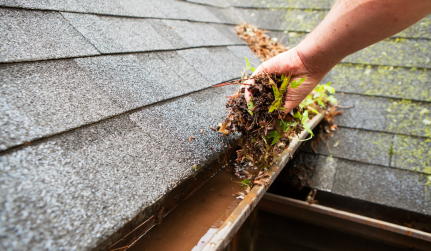Gutter CLeaning
